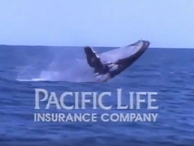 Pacific Life debuted the TV advertisement 